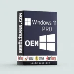 Windows 11 Pro OEM Lisans (Online Aktivasyon)
